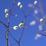 IMG 4842