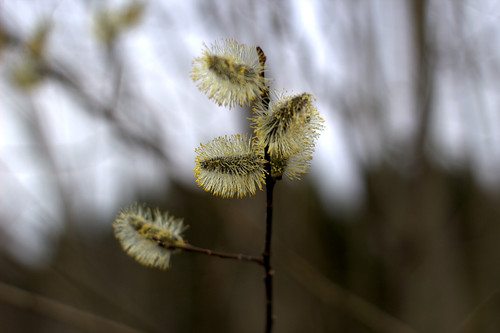 IMG 4898.jpg