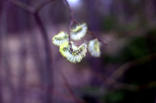 IMG 4899.jpg