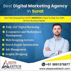 Digital Marketing Company in Surat.jpg