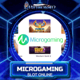 micro.gif