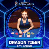 dragon tiger.gif