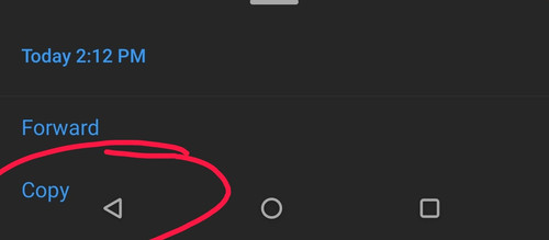 1682805142355.jpg