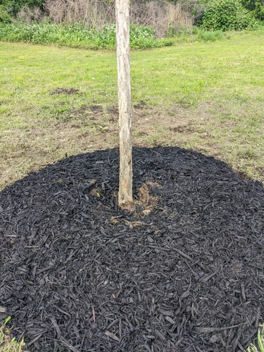 PXL 20230502 215613800.jpg