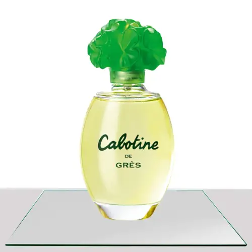 Cabotine de Grès Parfums Grès Eau de Toilette Feminino 100ml TOPB