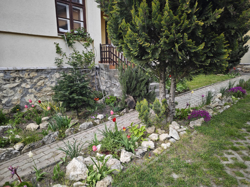 IMG 20230501 180417.jpg