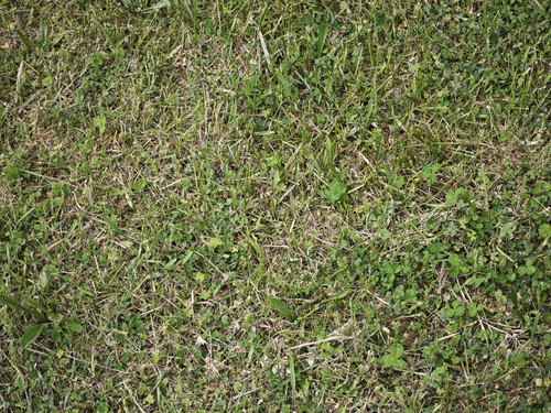 IMG 20230501 180214.jpg