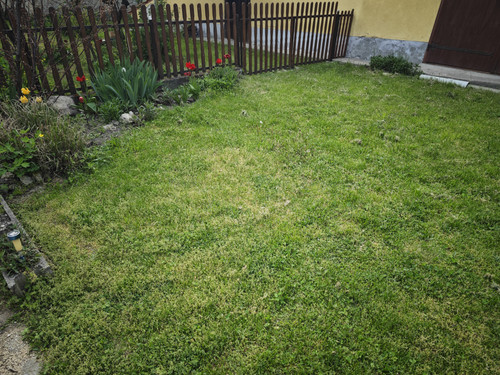 IMG 20230501 180101.jpg