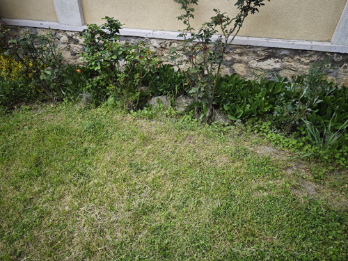 IMG 20230501 180154.jpg