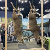 325846471 1202871524001672 1150108198012760993 n.jpg?stp=c0.23.206.206a dst jpg p206x206&amp; nc cat=105