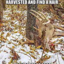 332698204 737952637679044 4202689346455123918 n.jpg?stp=c0.17.206.206a dst jpg p206x206& nc cat=102&.jpg