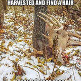 332698204 737952637679044 4202689346455123918 n.jpg?stp=c0.17.206.206a dst jpg p206x206&amp; nc cat=102&amp;