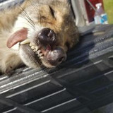 327963334 6085695554814682 2079695472713816262 n.jpg?stp=c0.23.206.206a dst jpg p206x206&amp; nc cat=102