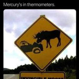 332853812 1335120190385142 1448946386231333590 n.jpg?stp=c0.20.206.206a dst jpg p206x206&amp; nc cat=103