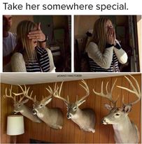 335072207 1256494541744521 7236837870654328848 n.jpg?stp=dst jpg s206x206& nc cat=110&ccb=1 7& nc si.jpg