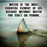 335286838 1301625334029025 9113830488524327162 n.jpg?stp=dst jpg s206x206&amp; nc cat=100&amp;ccb=1 7&amp; nc si