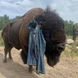 328985745 3058045001170907 8191032968791368527 n.jpg?stp=dst jpg p206x206&amp; nc cat=104&amp;ccb=1 7&amp; nc si