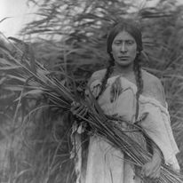 334214387 594139102308436 5519939664699099188 n.jpg?stp=c0.23.206.206a dst jpg p206x206& nc cat=102&.jpg