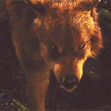 Senza titolo 2.gif