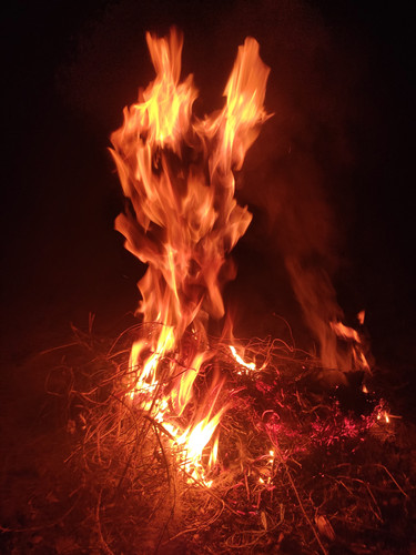 IMG 20230501 211902.jpg