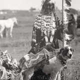 341346065 1282980832291364 3271436551098716883 n.jpg?stp=c0.25.206.206a dst jpg p206x206&amp; nc cat=104