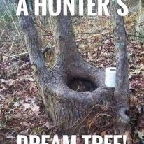 321332658 1549796402200803 1055829450105048065 n.jpg?stp=c0.17.206.206a dst jpg p206x206& nc cat=111.jpg