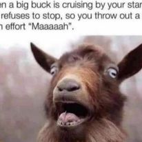 324901354 865388811208945 4617718992202579415 n.jpg?stp=c31.0.206.206a cp6 dst jpg p206x206& nc cat=.jpg