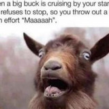 324901354 865388811208945 4617718992202579415 n.jpg?stp=c31.0.206.206a cp6 dst jpg p206x206&amp; nc cat=