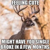 324670981 1254300145169449 5826367101635289360 n.jpg?stp=c41.0.206.206a dst jpg p206x206&amp; nc cat=107