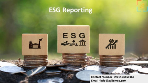 ESG Reporting 15.jpg