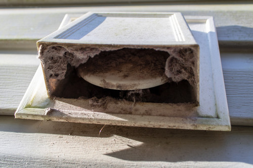 Dryer Vent Picture.jpg