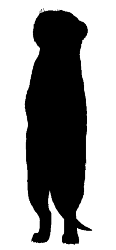 Logan (4).png