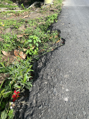 IMG 2366.jpg