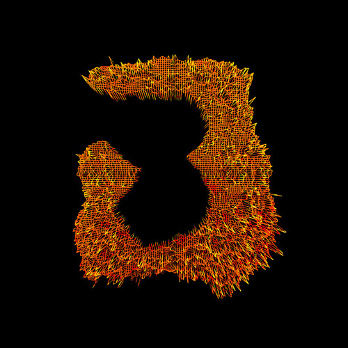Shaka Final Cover saturated resize.jpg