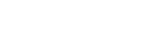 DTP White Screen.png