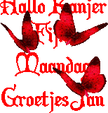 oie overlay.gif
