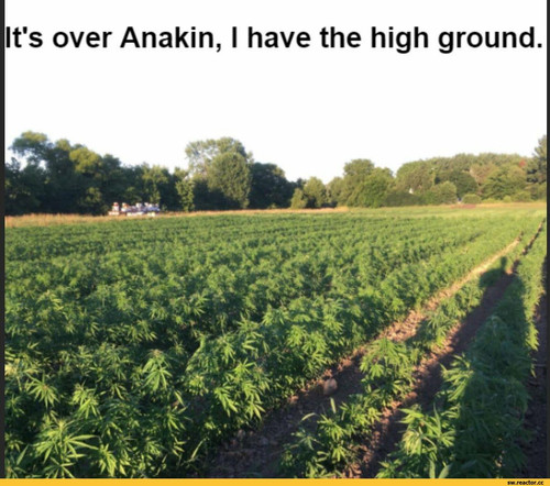StarWars %D1%84%D1%8D%D0%BD%D0%B4%D0%BE%D0%BC%D1%8B %D0%BF%D0%BE%D0%BB%D0%B5 %D0%B1%D0%B5%D0%B7 %D0%.jpg