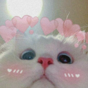 4019e12631bb89ef2d25e11831d114dc.png