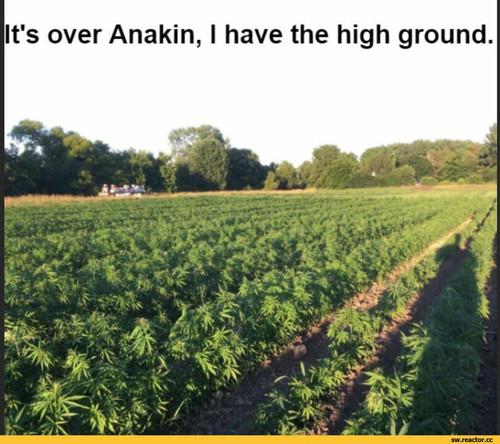 StarWars %D1%84%D1%8D%D0%BD%D0%B4%D0%BE%D0%BC%D1%8B %D0%BF%D0%BE%D0%BB%D0%B5 %D0%B1%D0%B5%D0%B7 %D0%.jpg