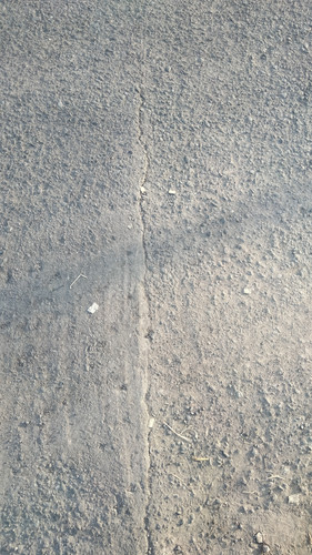 IMG20220904062222.jpg