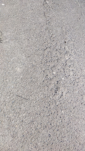 IMG 20220904 090925.jpg
