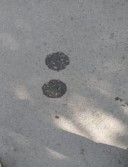 910.jpg