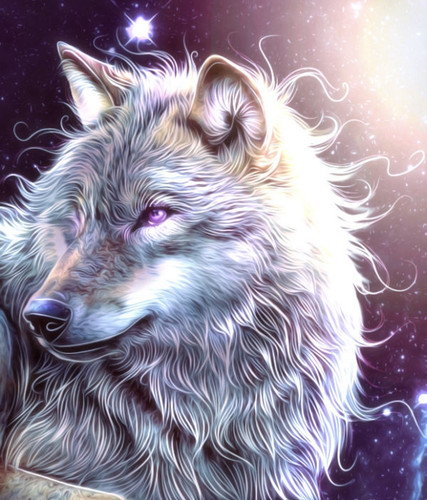 FB33EAD2 1429 4545 8950 33B4D1224BDC.jpg