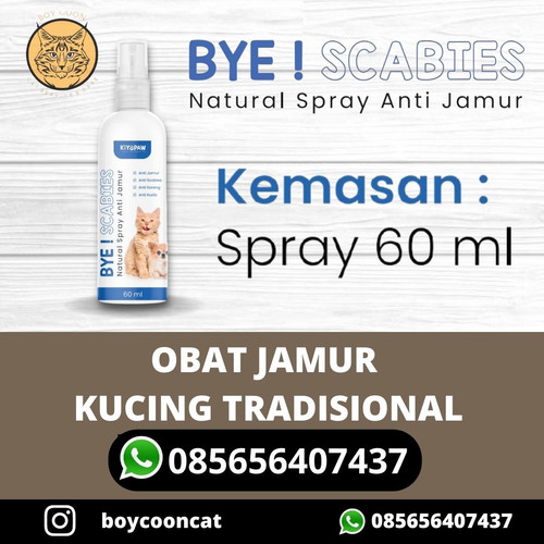 OBAT JAMUR KUCING TRADISIONAL.jpg