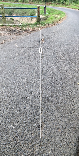 IMG 3262.jpg