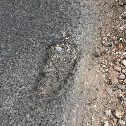 104.jpg