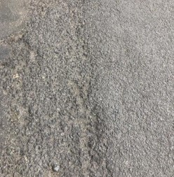 103.jpg