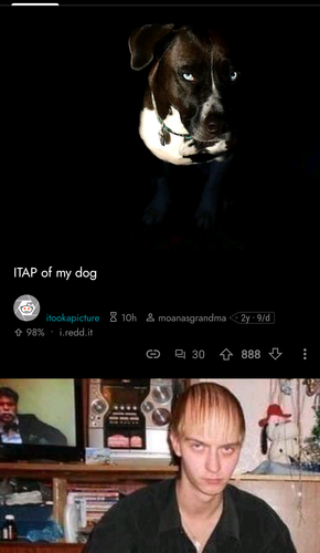 1683175086285.png