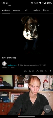 1683175033097.png