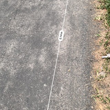 IMG 3304